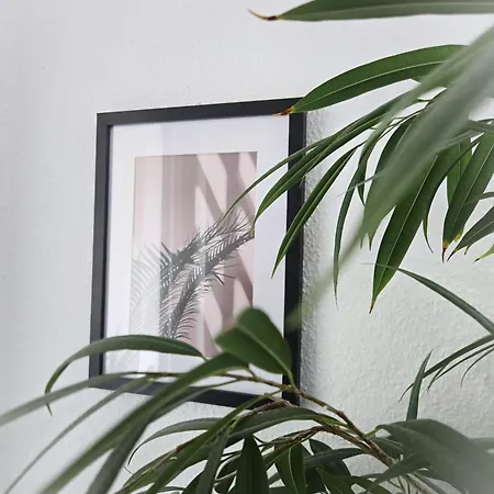 Apartamento Orange - Business & Relax In Grossenbaum Duisburgo